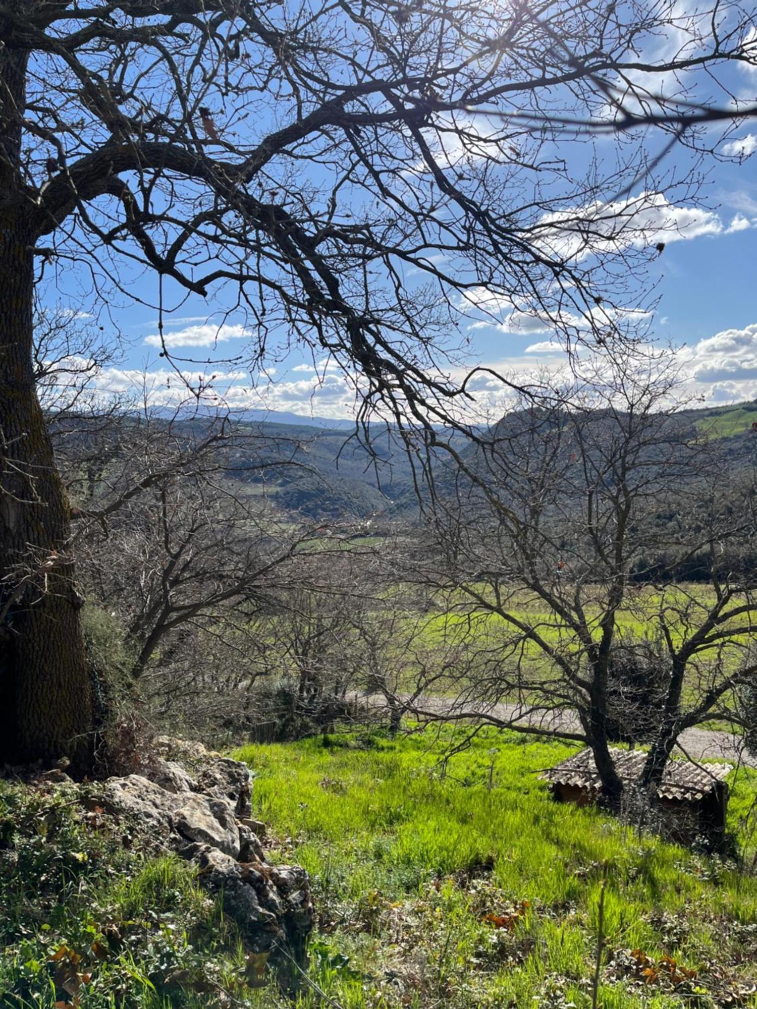 Agriturismo Le Querciole In Val D'Orcia Bagno Vignoni Exterior foto